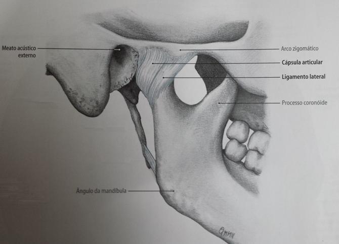 Mandíbula travada? . 📢Olha o que acontece quando o disco que protege a  articulação mandibular sai fora do lugar! . 👉O estralido é forte e a dor  também, a, By Exercitá Fisioterapia